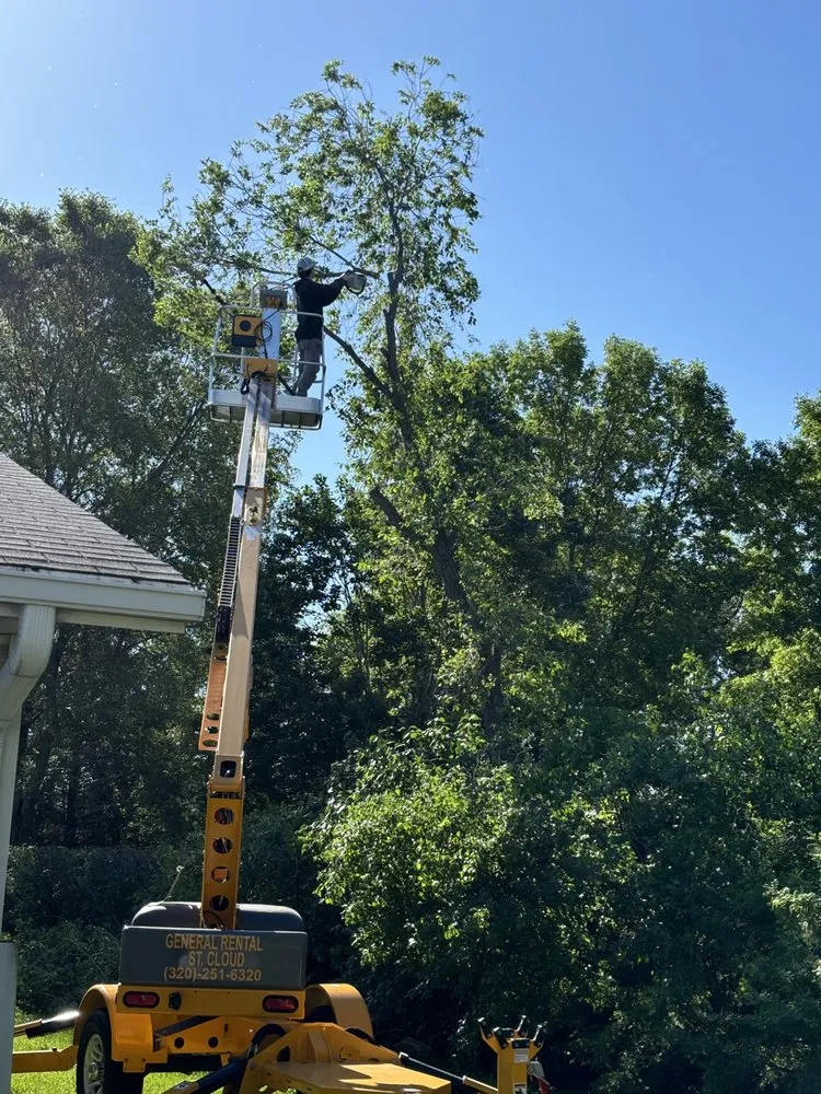 Top-rated landscaping services with custom design across Flensburg, MN - Distinctive Tree Experts