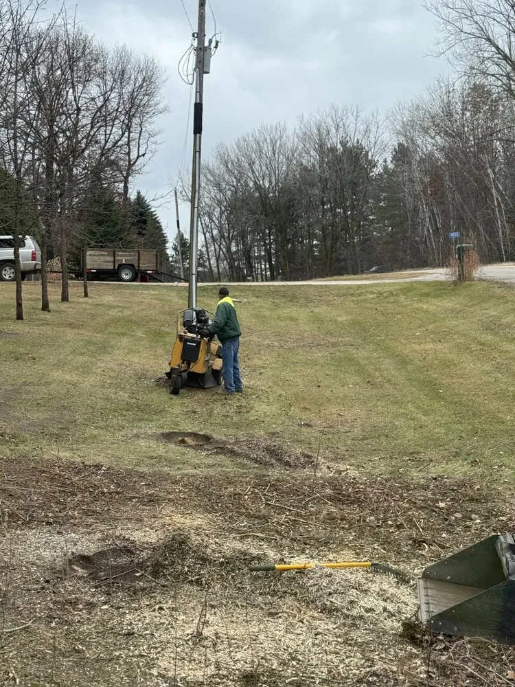 Local landscaping services in Flensburg, MN by Distinctive Tree Experts