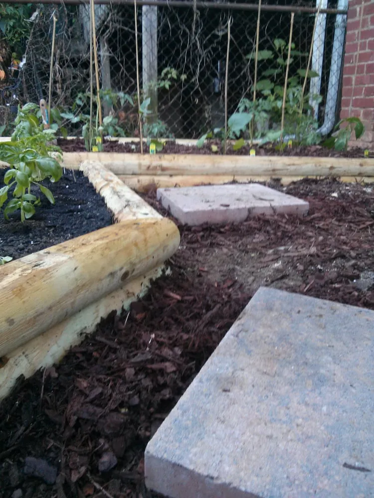 Top-rated landscaping services for year-round maintenance across Washington DC, DC - District Garden