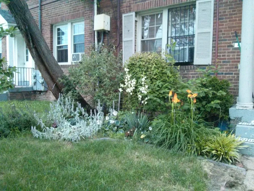 Trusted garden landscaping in Washington DC, DC - District Garden
