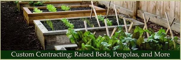 Affordable yard cleanup service in Washington DC, DC by District Garden