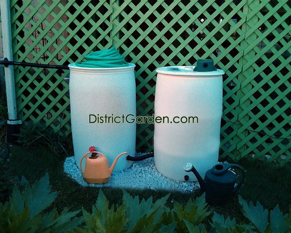 Expert landscape installation for outdoor upgrades across Washington DC, DC - District Garden