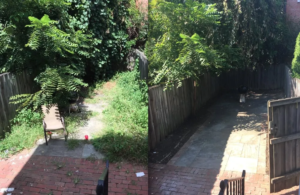 Local landscape design experts serving Washington DC, DC - District Garden