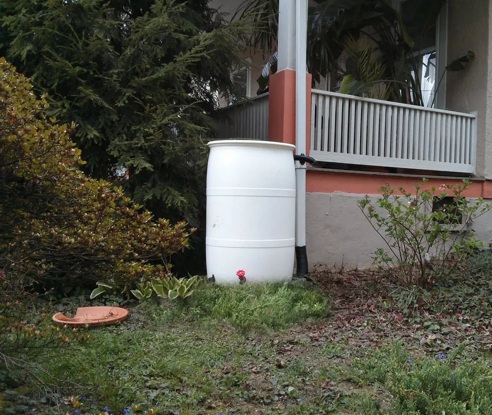 Reliable landscape design experts serving Washington DC, DC - District Garden