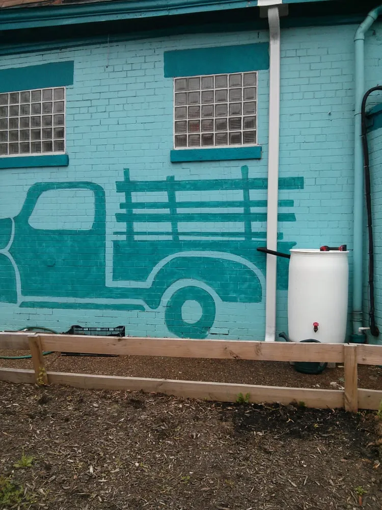 Top-rated lawn care service experts serving Washington DC, DC - District Garden