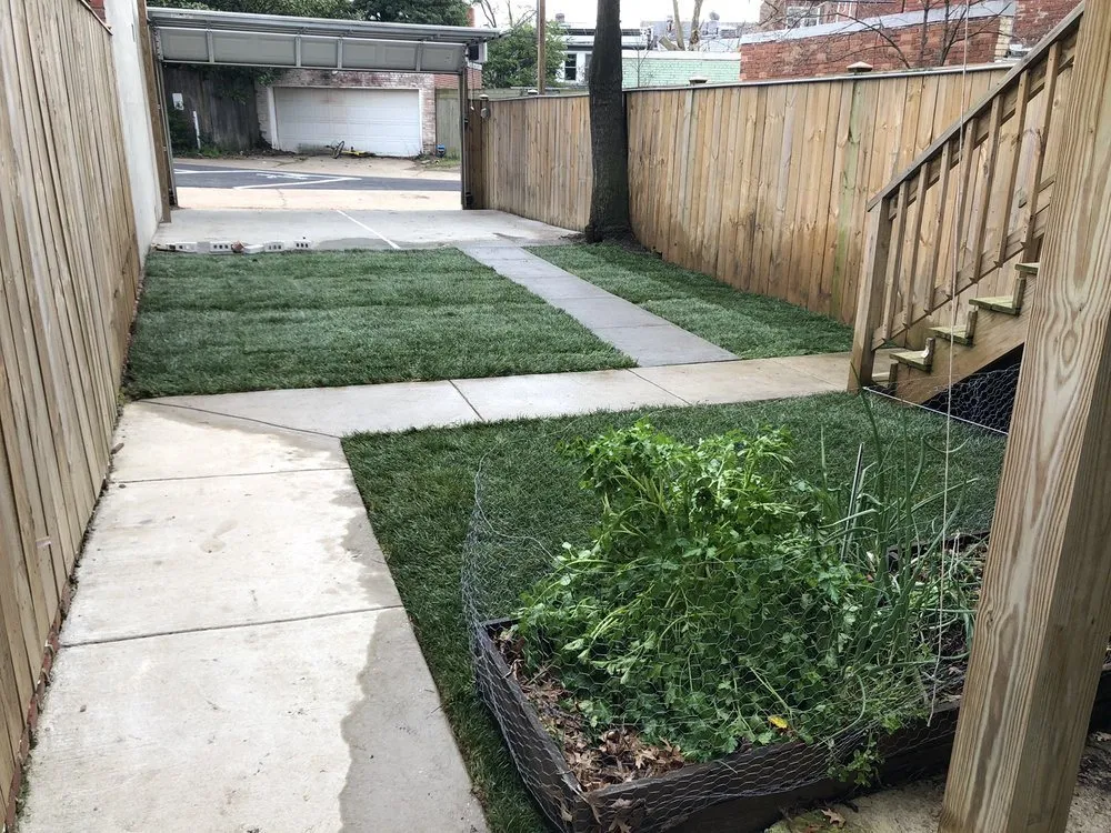 Trusted landscape design in Atlanta, GA - District Landscapes