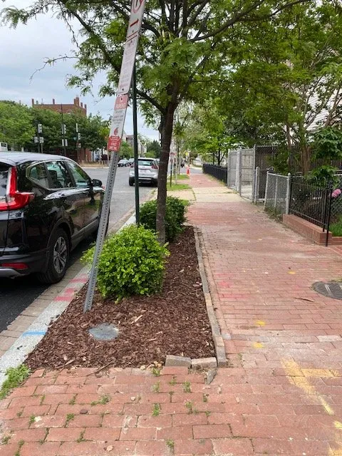 Top-rated lawn care service with custom design in Washington DC, DC by District Landscapes