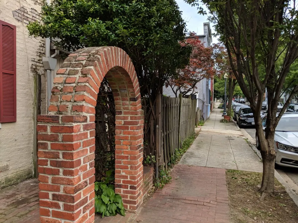 Trusted landscaping services for year-round maintenance in Washington DC, DC by District Landscapes