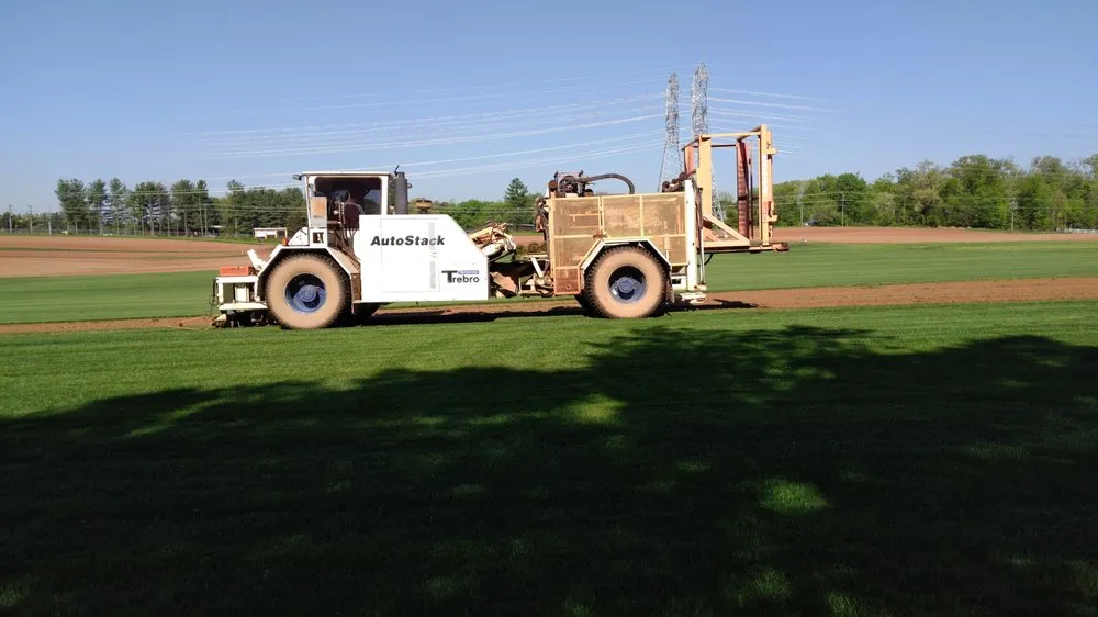 Custom garden landscaping for year-round maintenance across Washington DC, DC - District Landscapes