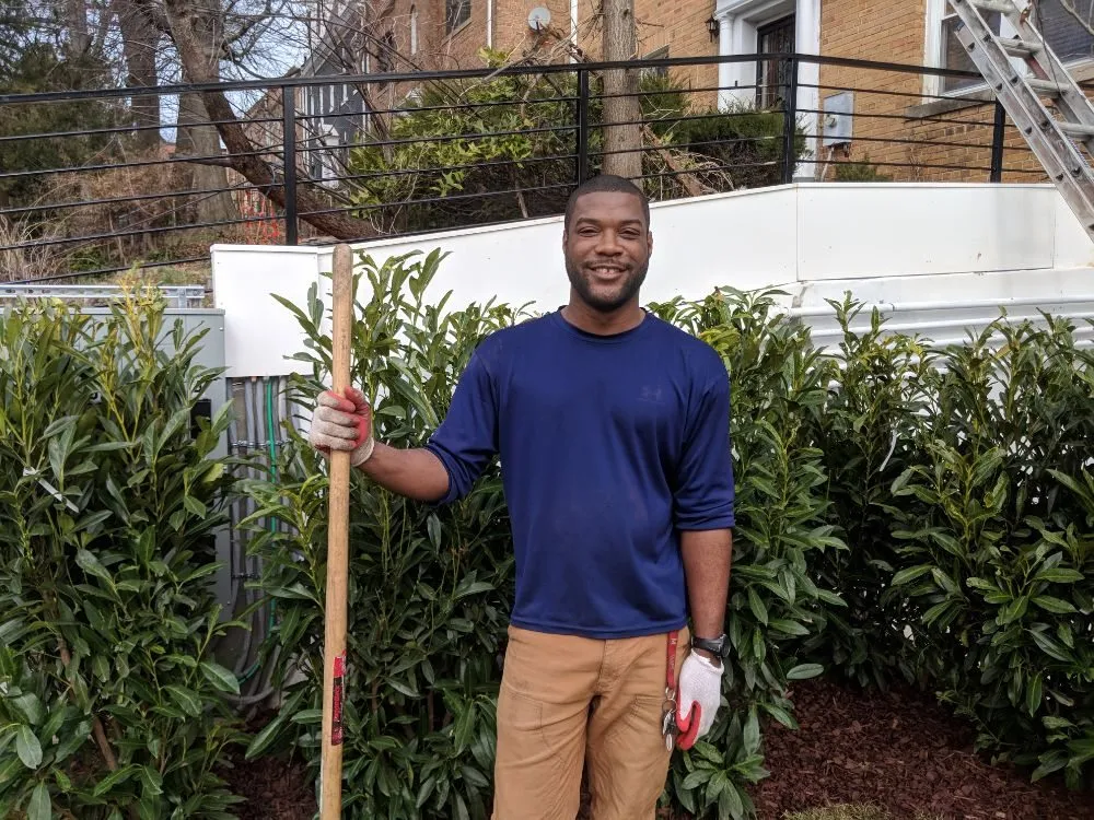 Custom garden landscaping for year-round maintenance in Washington DC, DC by District Landscapes