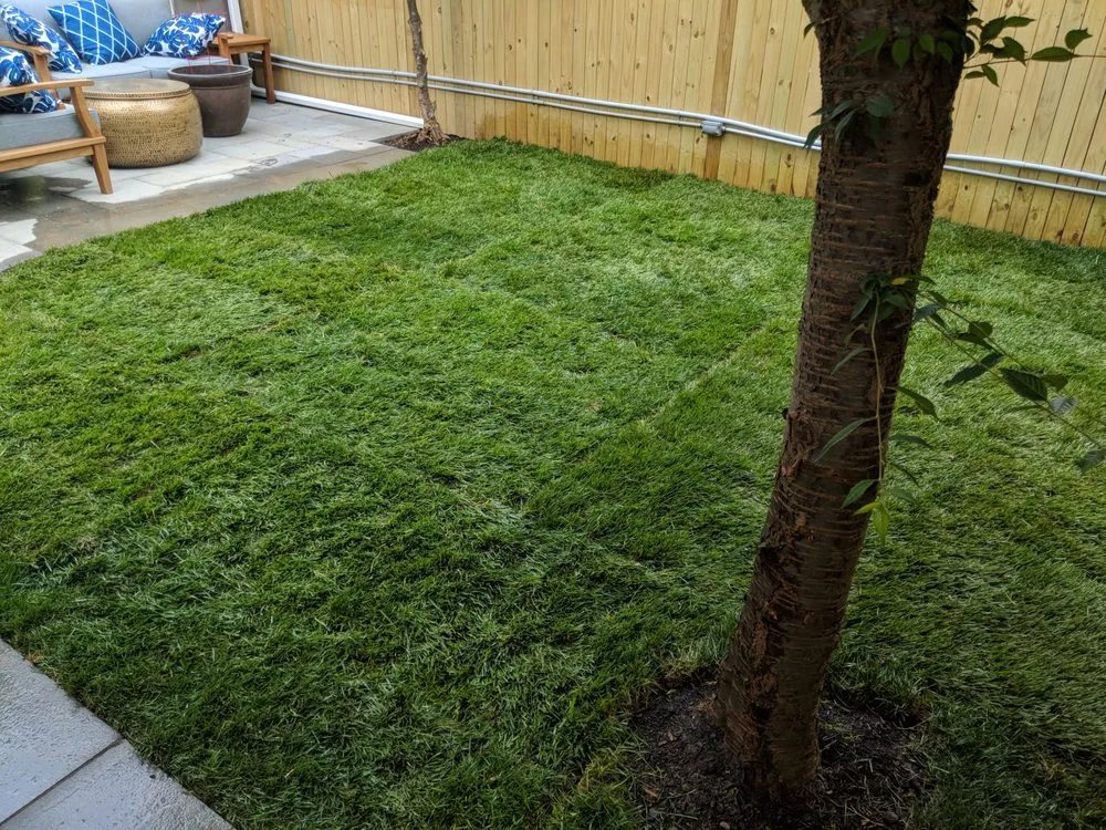 Custom landscape design in Washington DC, DC by District Landscapes