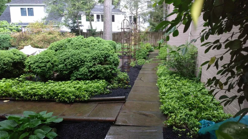 Affordable outdoor landscaping in Washington DC, DC - District Landscapes