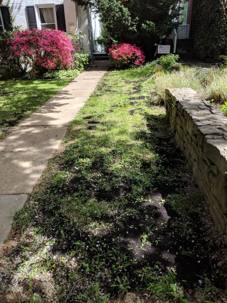 Local landscape installation with custom design across Washington DC, DC - District Landscapes