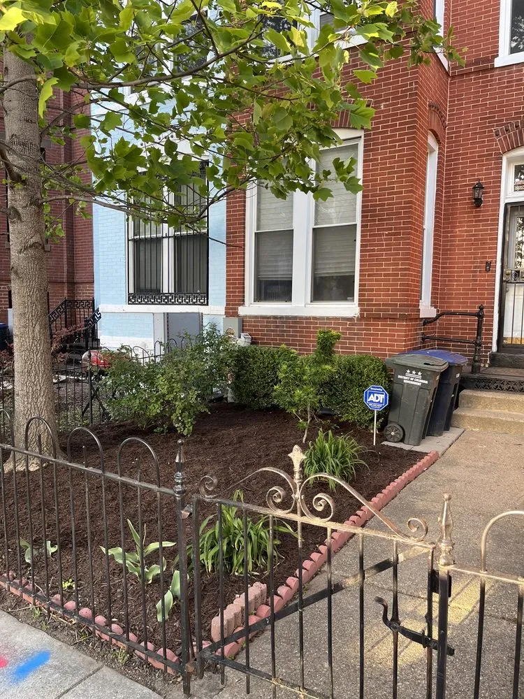 Custom landscape installation in Washington DC, DC by District Landscapes