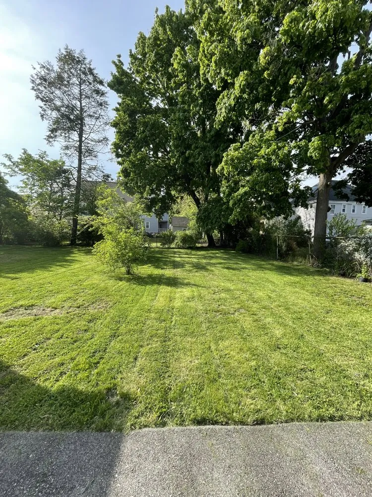 Trusted yard cleanup service experts serving Boston, MA - District Lawn Service