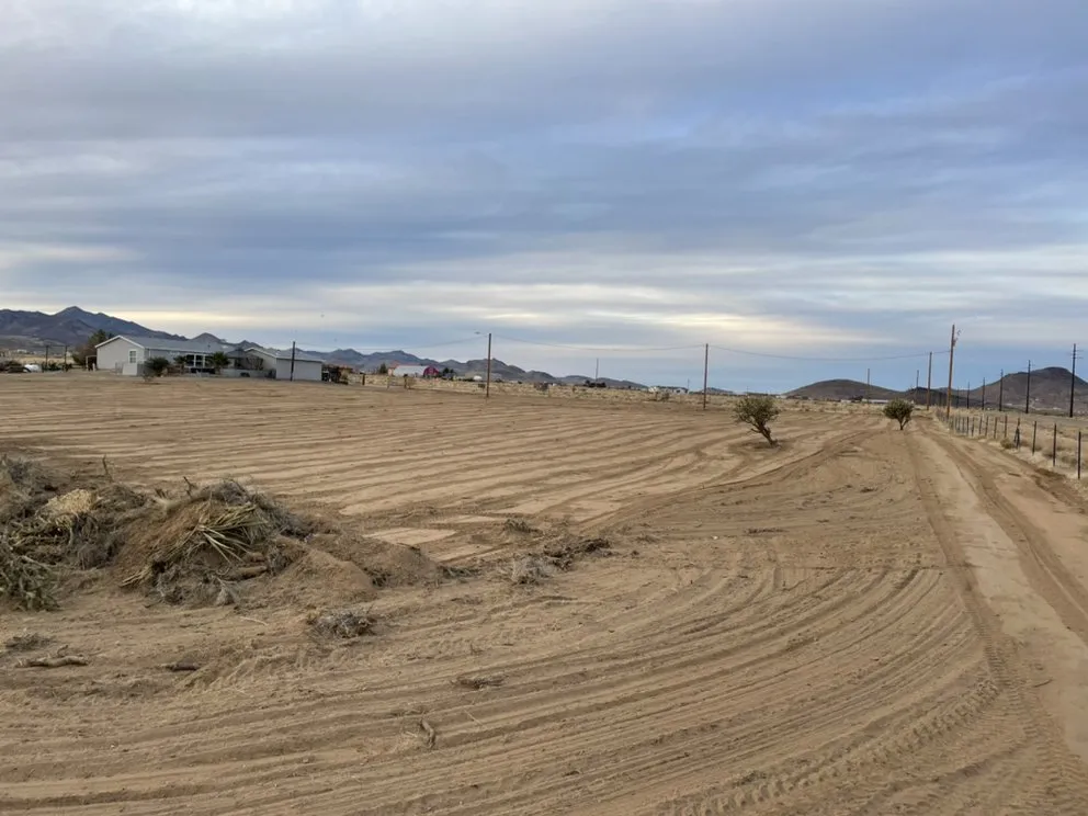 Local yard cleanup service for beautiful yards in Bullhead City, AZ by Ditch Doctor Dirt Works