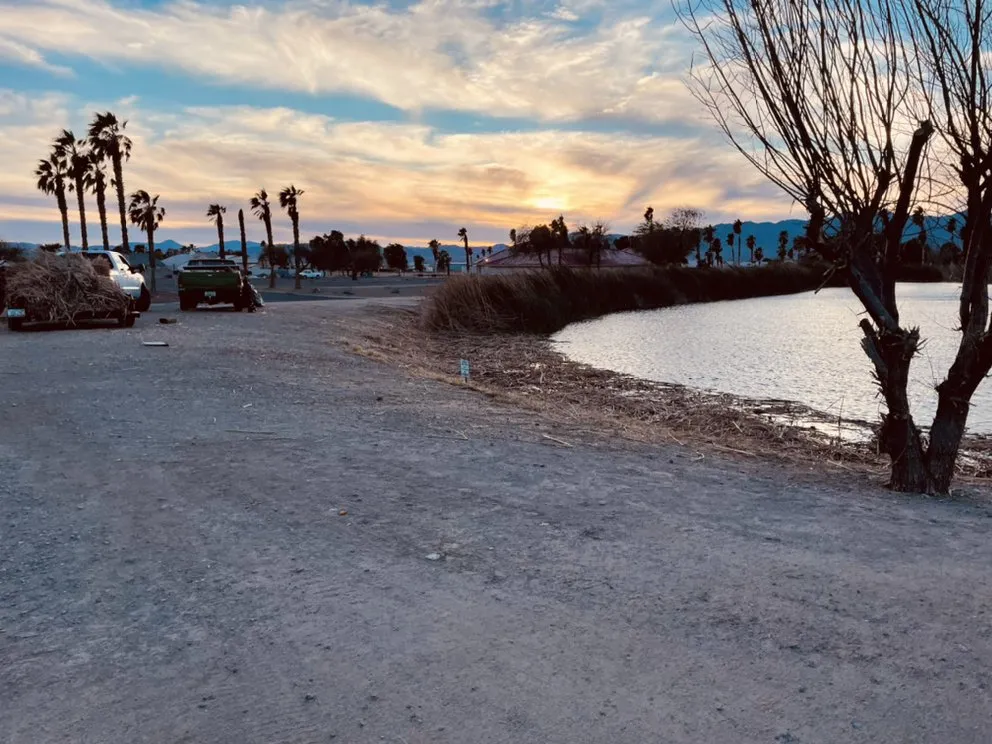 Expert garden landscaping in Bullhead City, AZ by Ditch Doctor Dirt Works