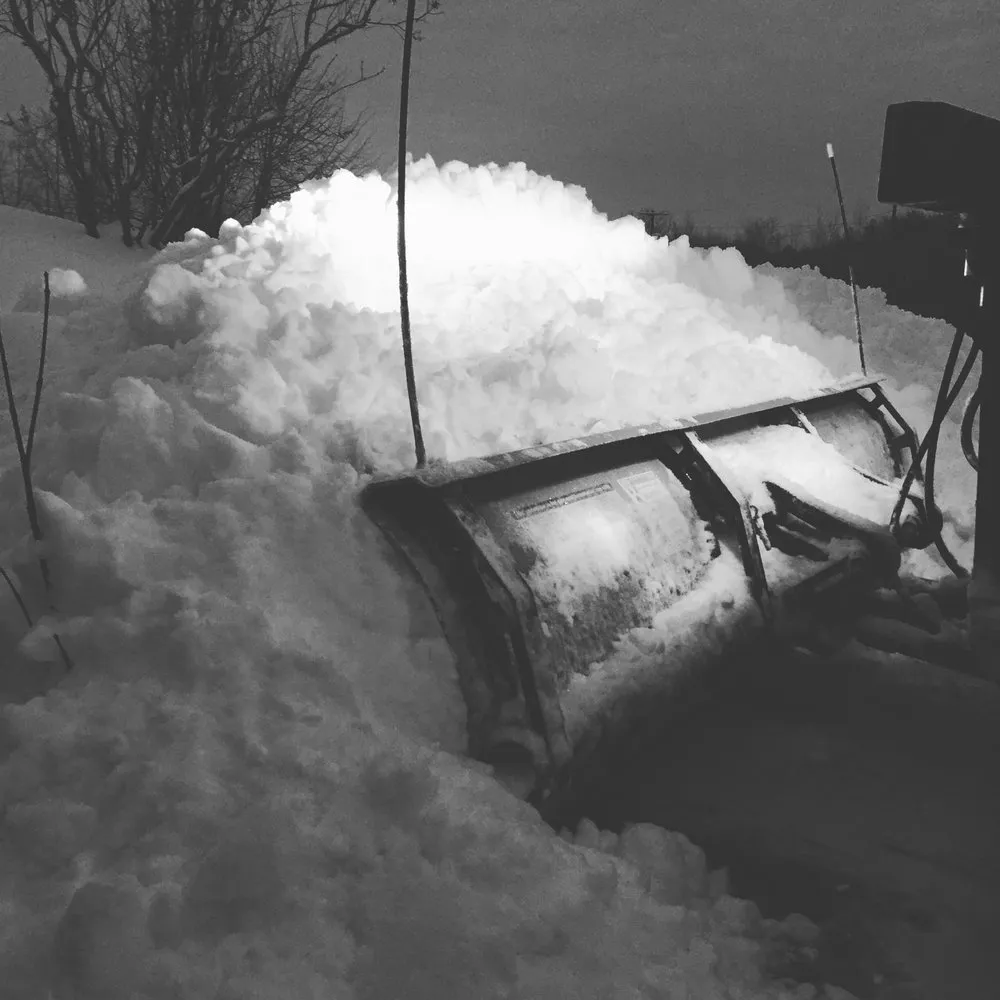 Top-rated lawn care service in Saratoga Springs, NY - Divers Enterprises