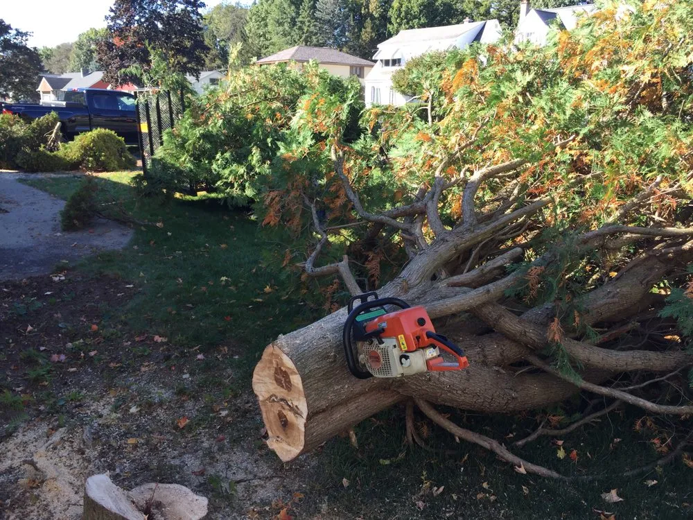 Reliable lawn care service for year-round maintenance across Saratoga Springs, NY - Divers Enterprises