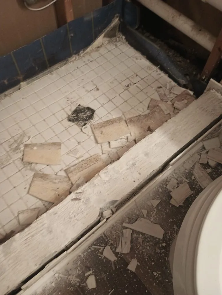 Expert landscape installation in Melbourne, FL by Diversified Contractor Solutions