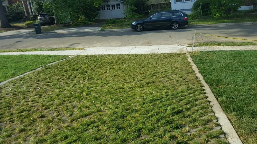 Reliable garden landscaping near you across Derwood, MD - Diversified Contractors Llc