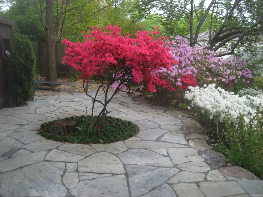 Professional lawn care service for outdoor upgrades in Derwood, MD by Diversified Contractors Llc