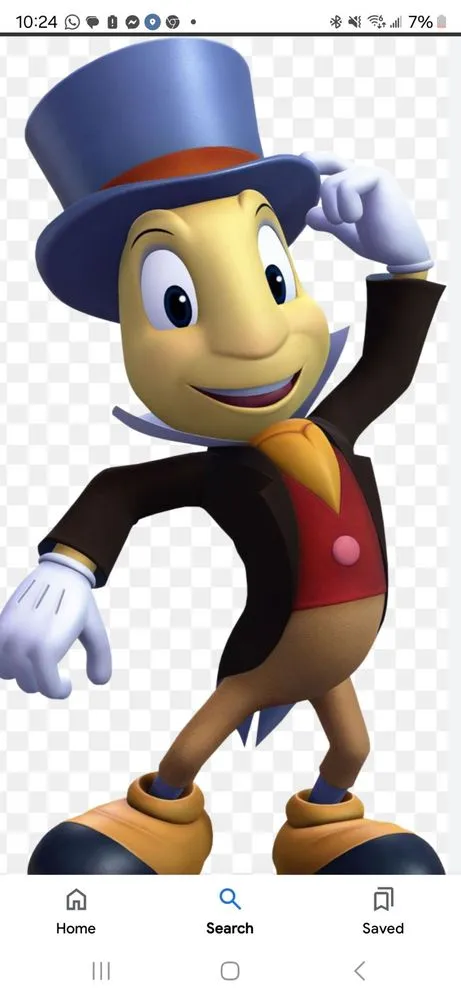 Custom yard cleanup service for homes in Chula Vista, CA by Diversified Fence and Landscape