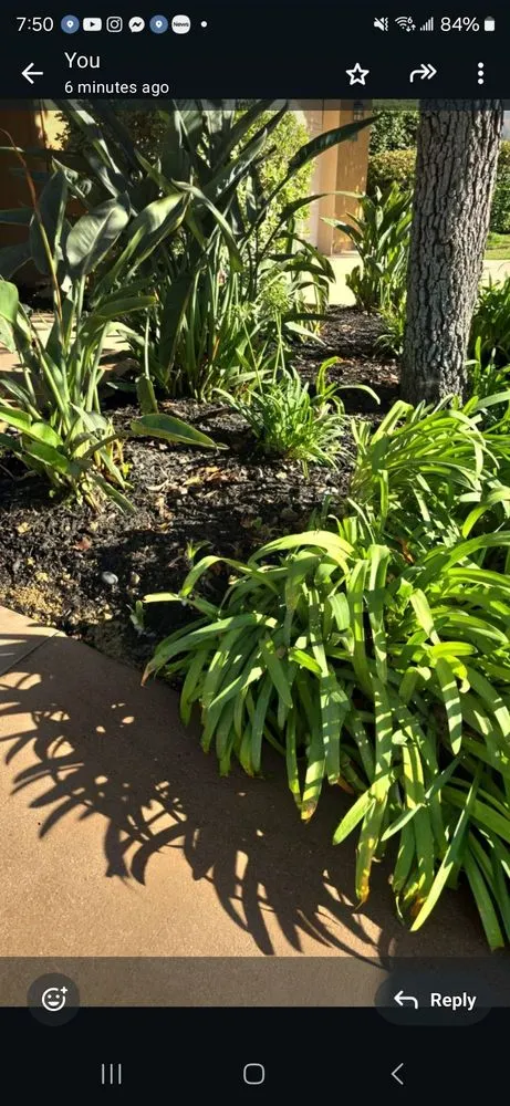 Top-rated residential landscaping in Chula Vista, CA - Diversified Fence and Landscape