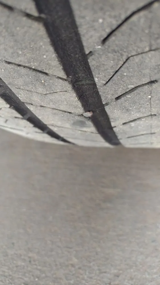 Professional yard cleanup service for outdoor upgrades across Wildomar, CA - Diversified General