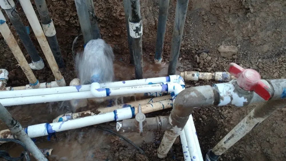 Professional garden landscaping in Wildomar, CA by Diversified General