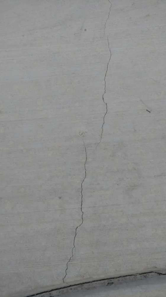 Expert yard cleanup service in Wildomar, CA by Diversified General