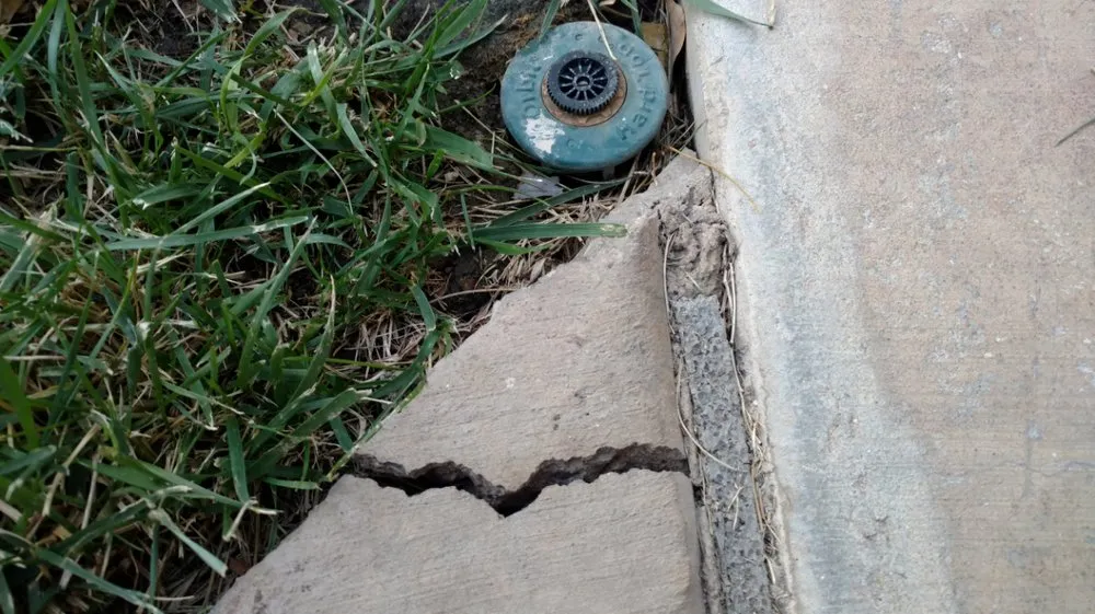 Affordable landscaping services experts serving Wildomar, CA - Diversified General