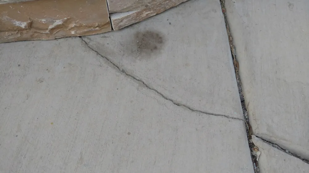 Professional landscaping services experts serving Wildomar, CA - Diversified General