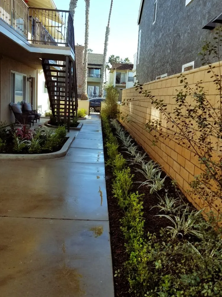 Affordable landscape design in Santa Ana, CA - Diversified Irrigation Services