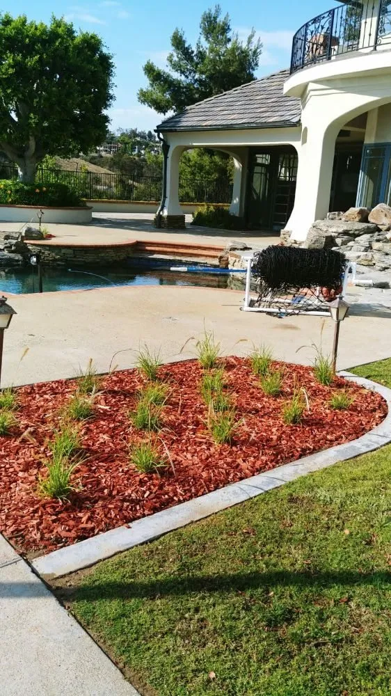 Expert landscaping services in Santa Ana, CA - Diversified Irrigation Services