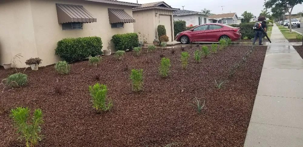 Custom residential landscaping experts serving Santa Ana, CA - Diversified Irrigation Services