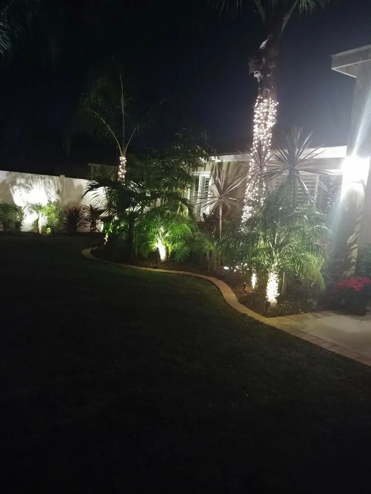 Affordable outdoor landscaping in Santa Ana, CA by Diversified Irrigation Services