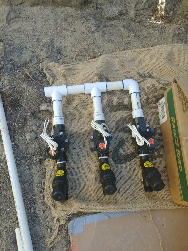 Top-rated landscape installation for homes in Santa Ana, CA by Diversified Irrigation Services