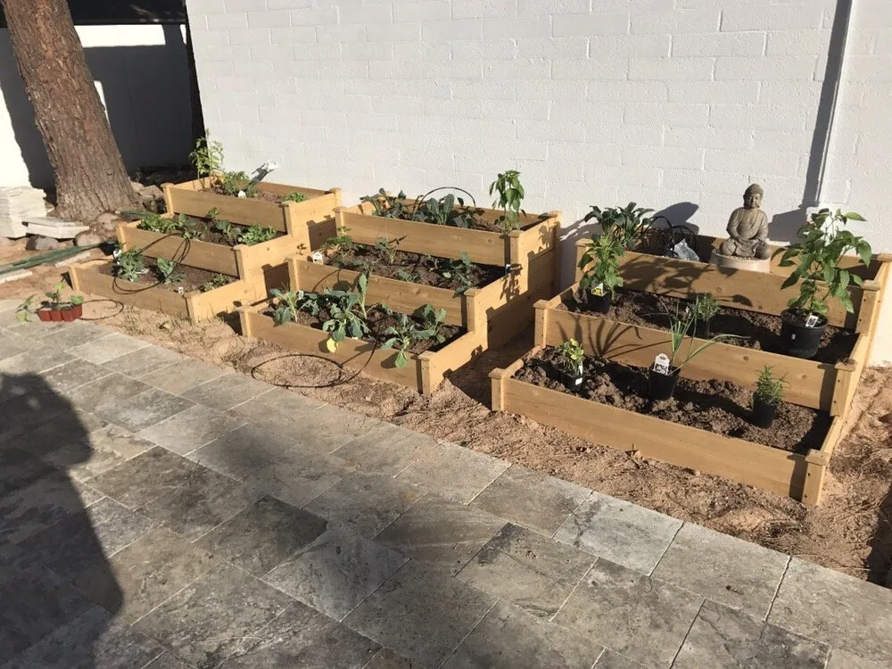 Affordable garden landscaping in Phoenix, AZ - Diversified Landscape Management