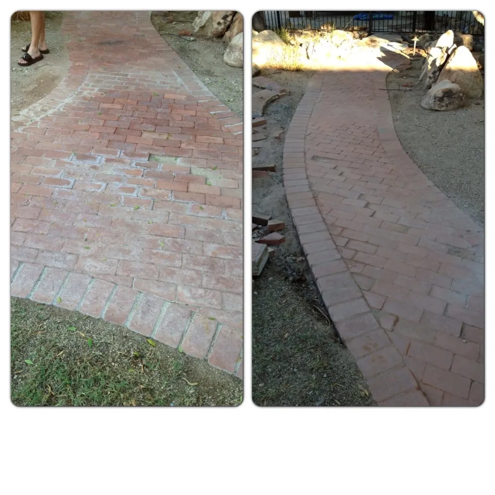 Affordable landscaping services for year-round maintenance across Phoenix, AZ - Diversified Landscape Management