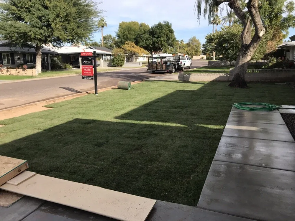 Affordable yard maintenance experts serving Phoenix, AZ - Diversified Landscape Management