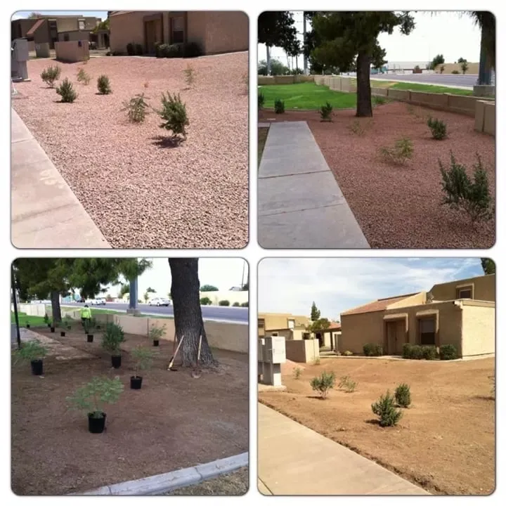 Professional garden landscaping experts serving Phoenix, AZ - Diversified Landscape Management