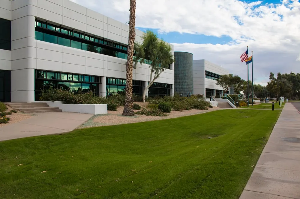 Reliable yard maintenance in Phoenix, AZ by Diversified Landscape Management