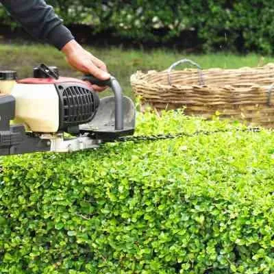 Trusted lawn care service in Lexington, KY by Diversified Lawn and Landscape