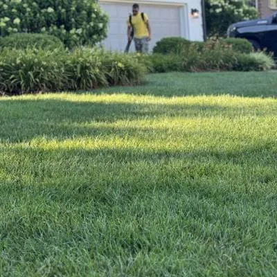 Affordable landscape installation for year-round maintenance in Lexington, KY by Diversified Lawn and Landscape