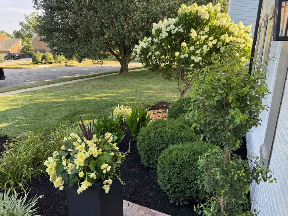 Top-rated landscaping services in Lexington, KY - Diversified Lawn and Landscape