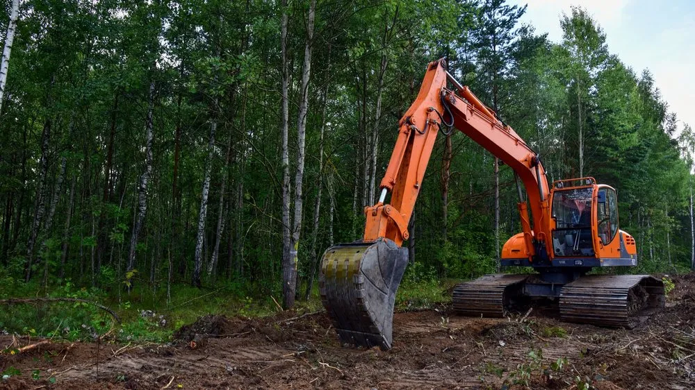 Custom landscape installation in New Bern, NC by Diversified Lawn And Property Care