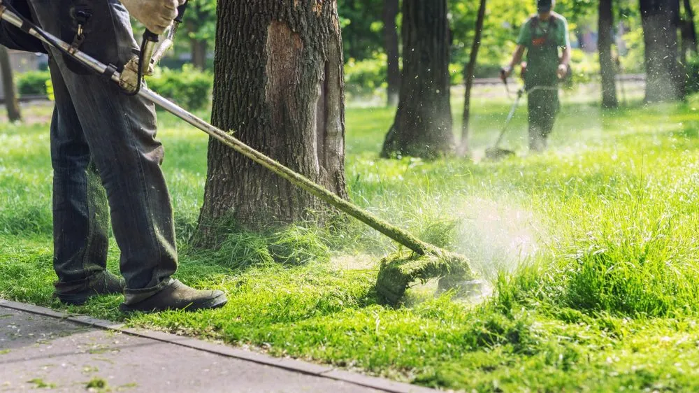 Top-rated yard maintenance in New Bern, NC by Diversified Lawn And Property Care