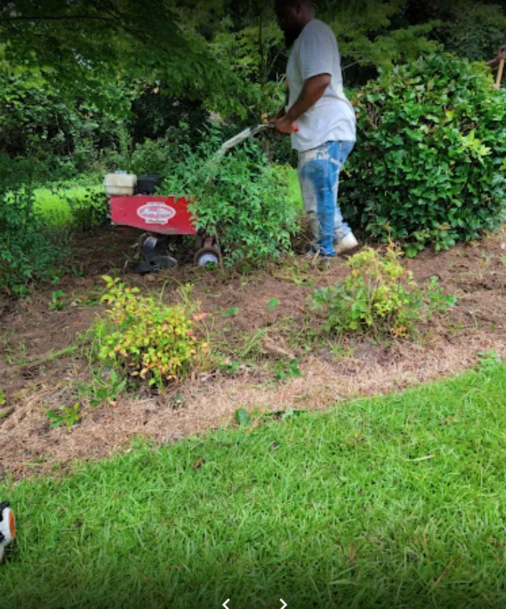 Professional landscape design in New Bern, NC - Diversified Lawn And Property Care
