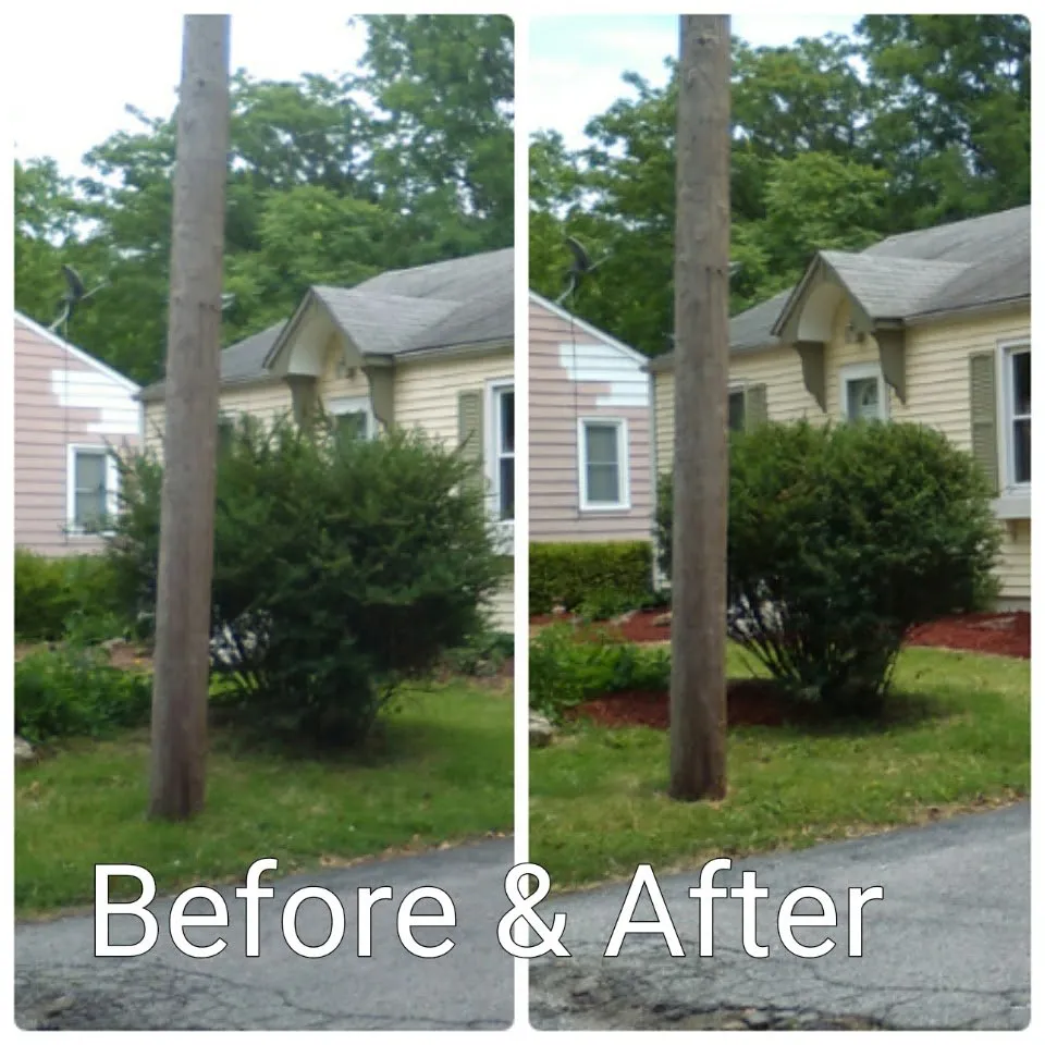 Trusted landscape design in Alton, IL by Diversified Outdoor Services